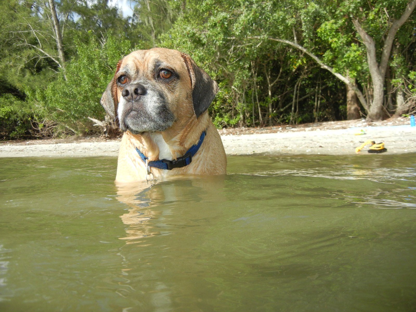 Mako Exploring The Indian River Lagoon