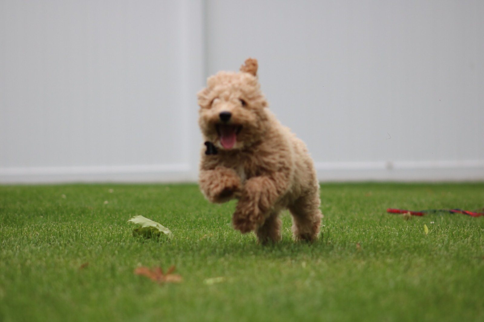 Weeeee