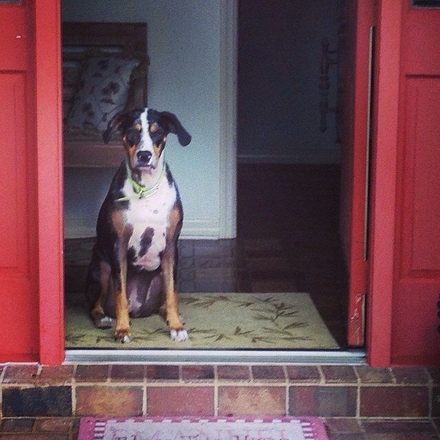 Dakota Waiting For Mommy!