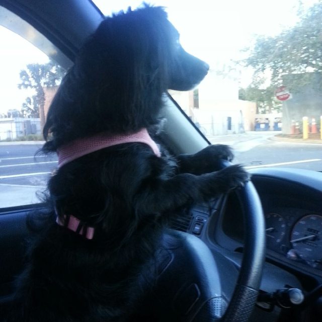 Heidi Waiting For Mommy