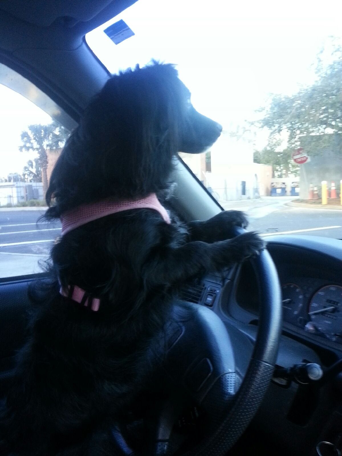 Heidi Waiting For Mommy