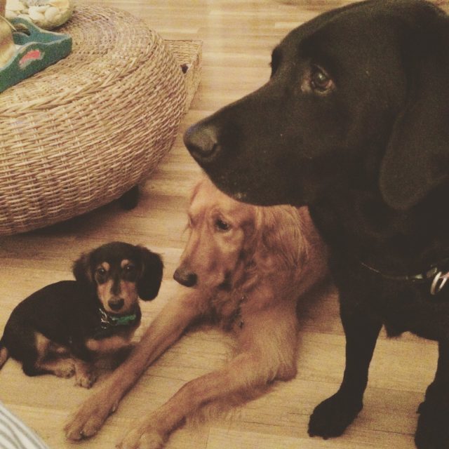 The 3 Best Friends Anyone Can Have