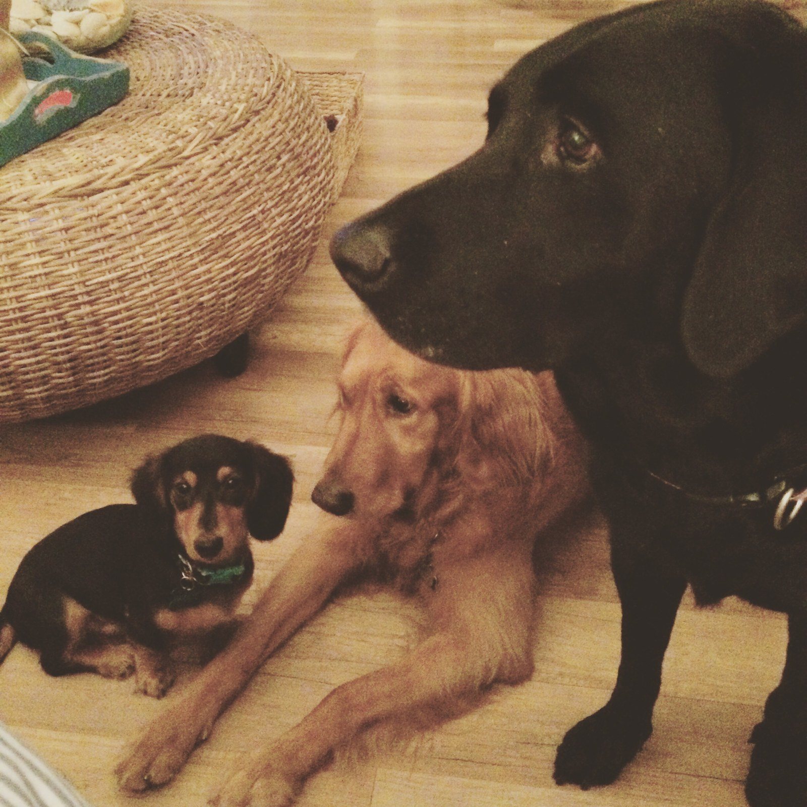 The 3 Best Friends Anyone Can Have