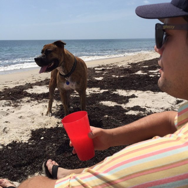 Boyz N The Beach