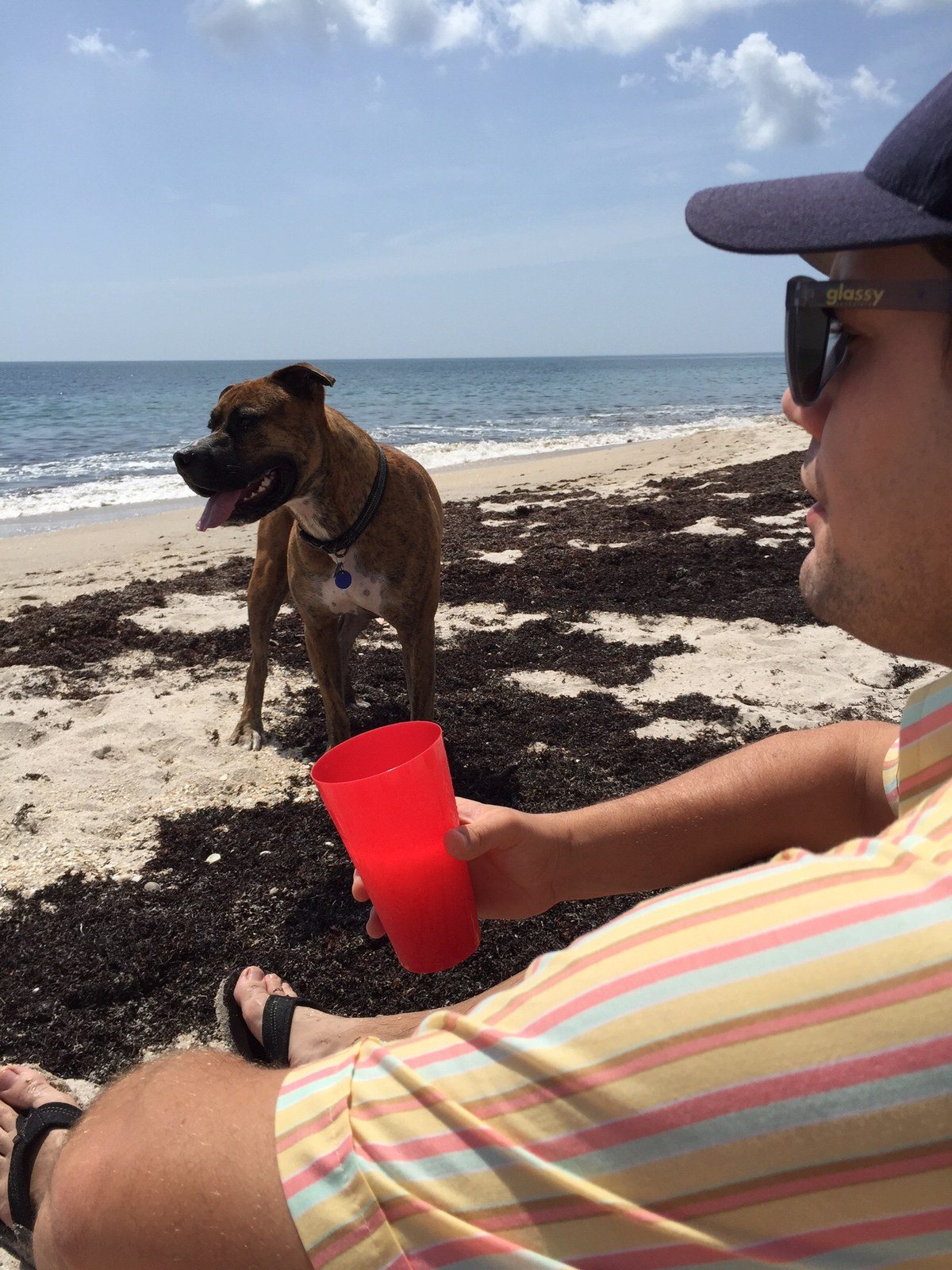 Boyz N The Beach