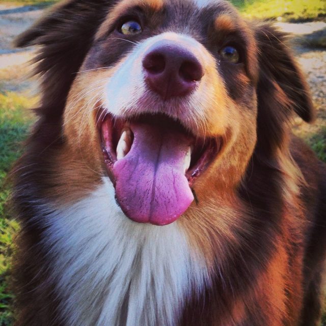 :P