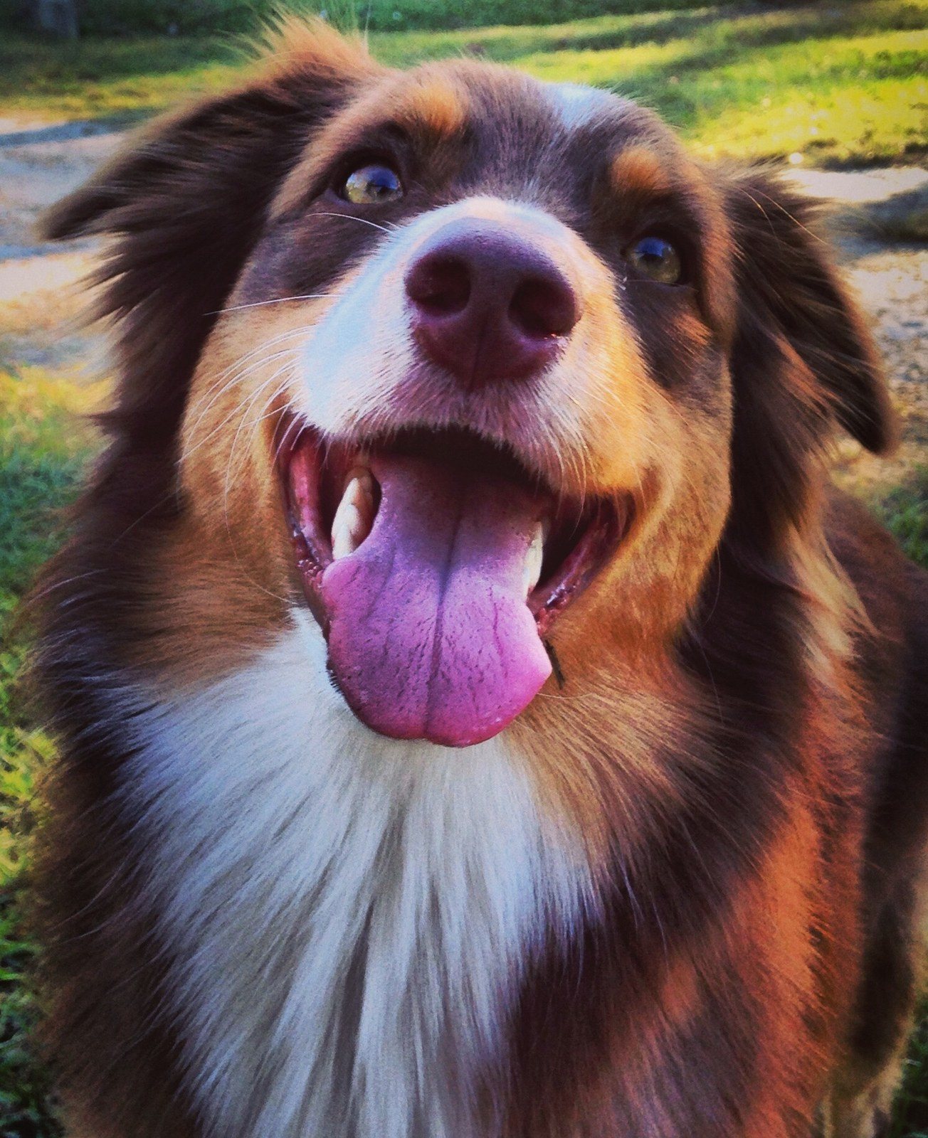 :P