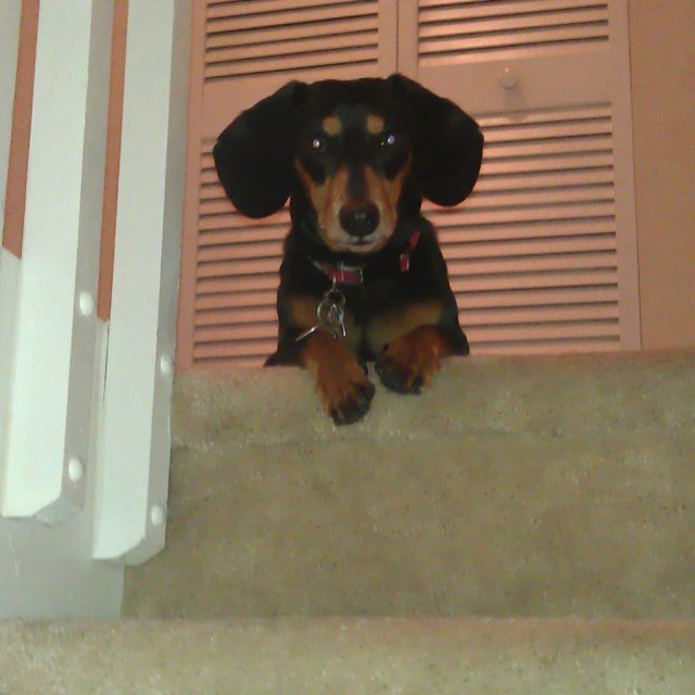 Well, Hello There!