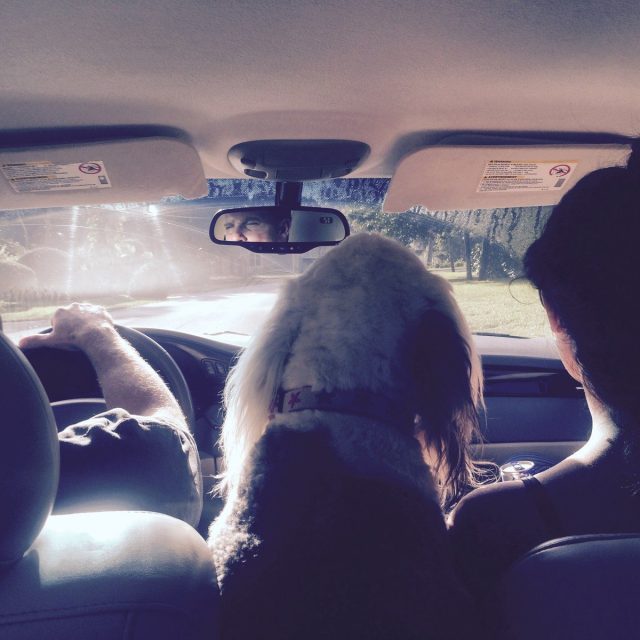 Jonny , Cali Doggy And Jillian Off To The Park!