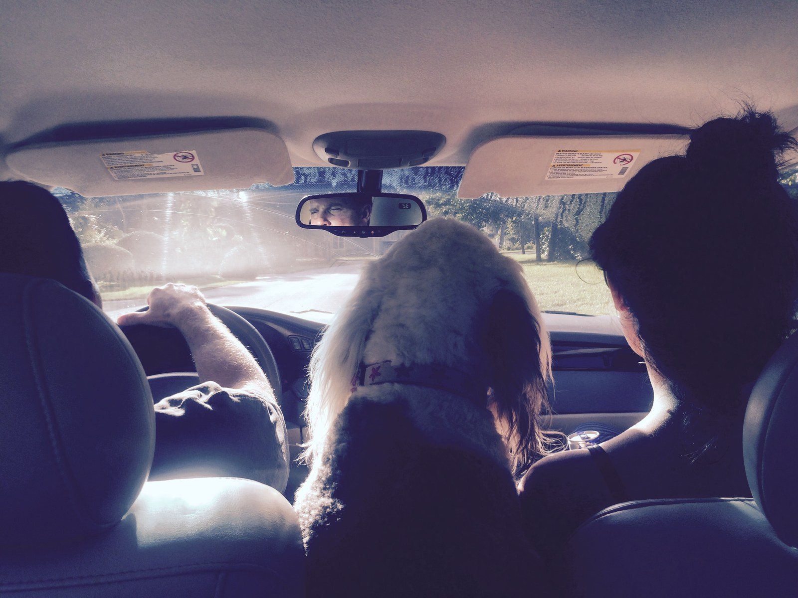 Jonny , Cali Doggy And Jillian Off To The Park!
