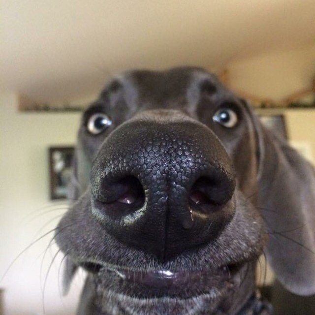 Smile!