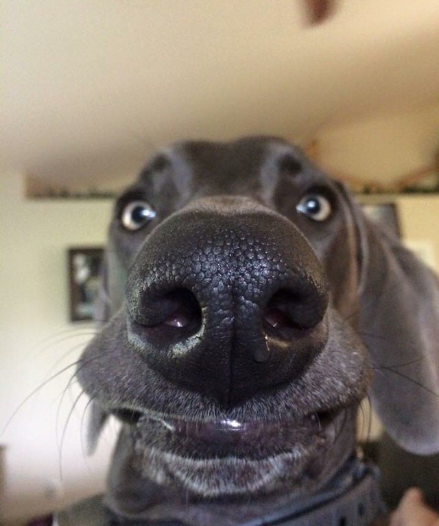Smile!