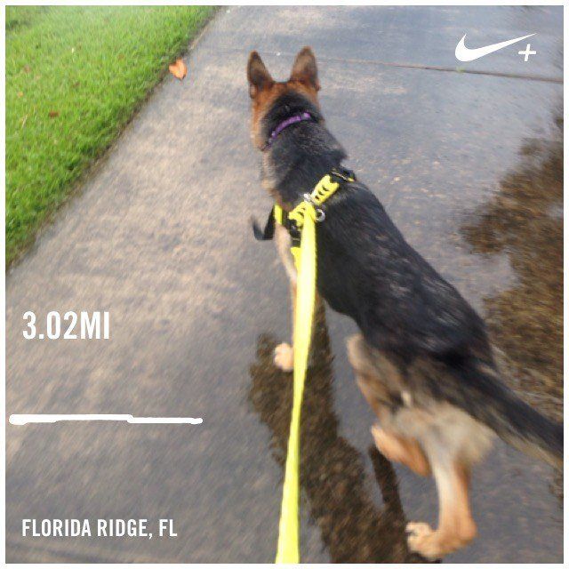 Liesel Getting Her Run On!