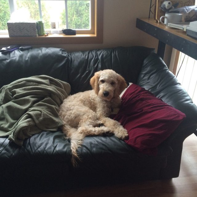 What, Am I In Your Spot?