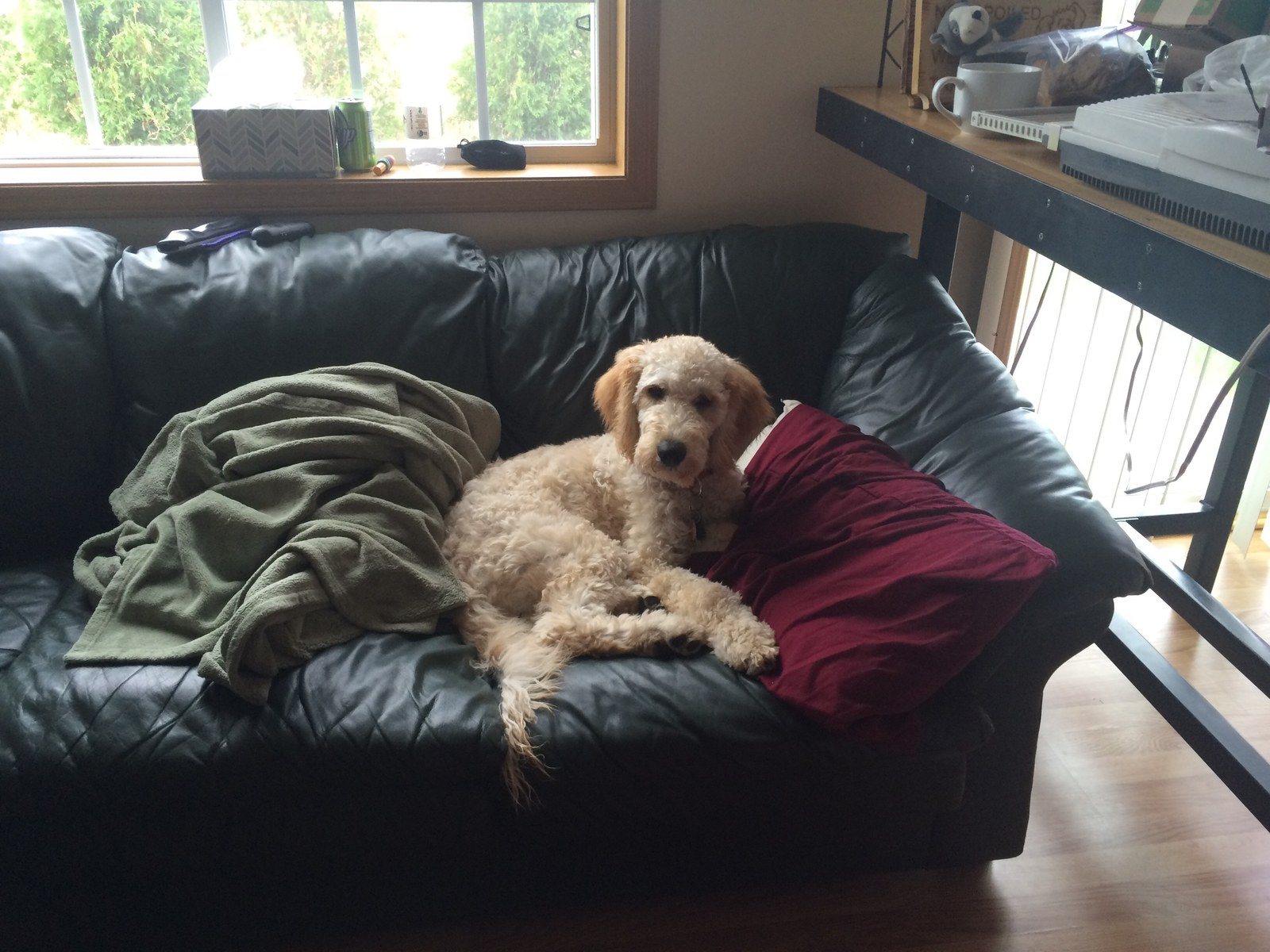 What, Am I In Your Spot?