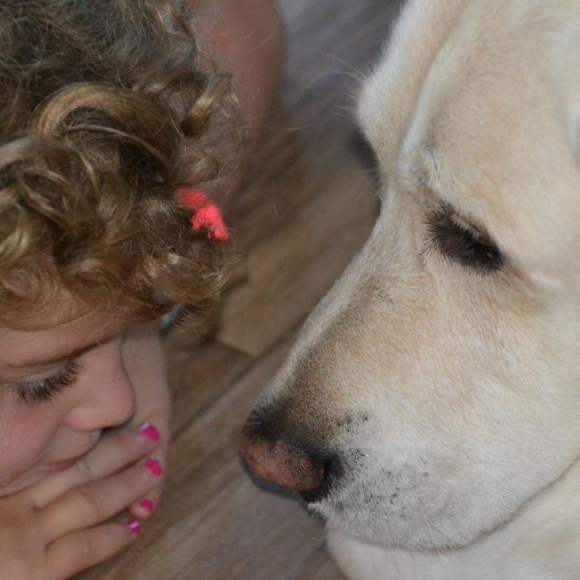 Eye To Eye