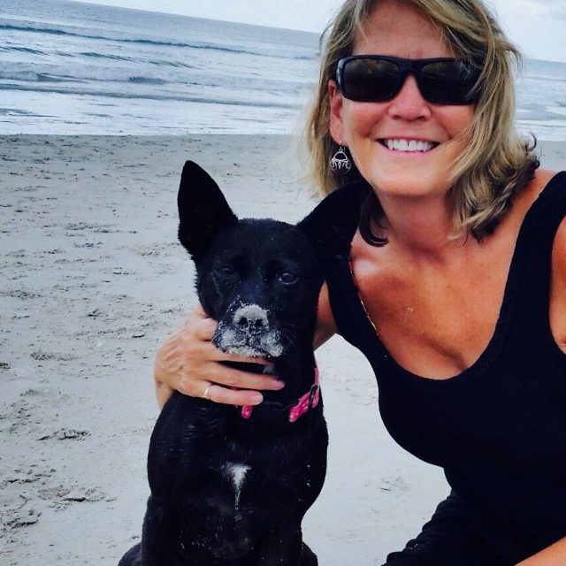 Paws In The Water, Nose In The Sand.