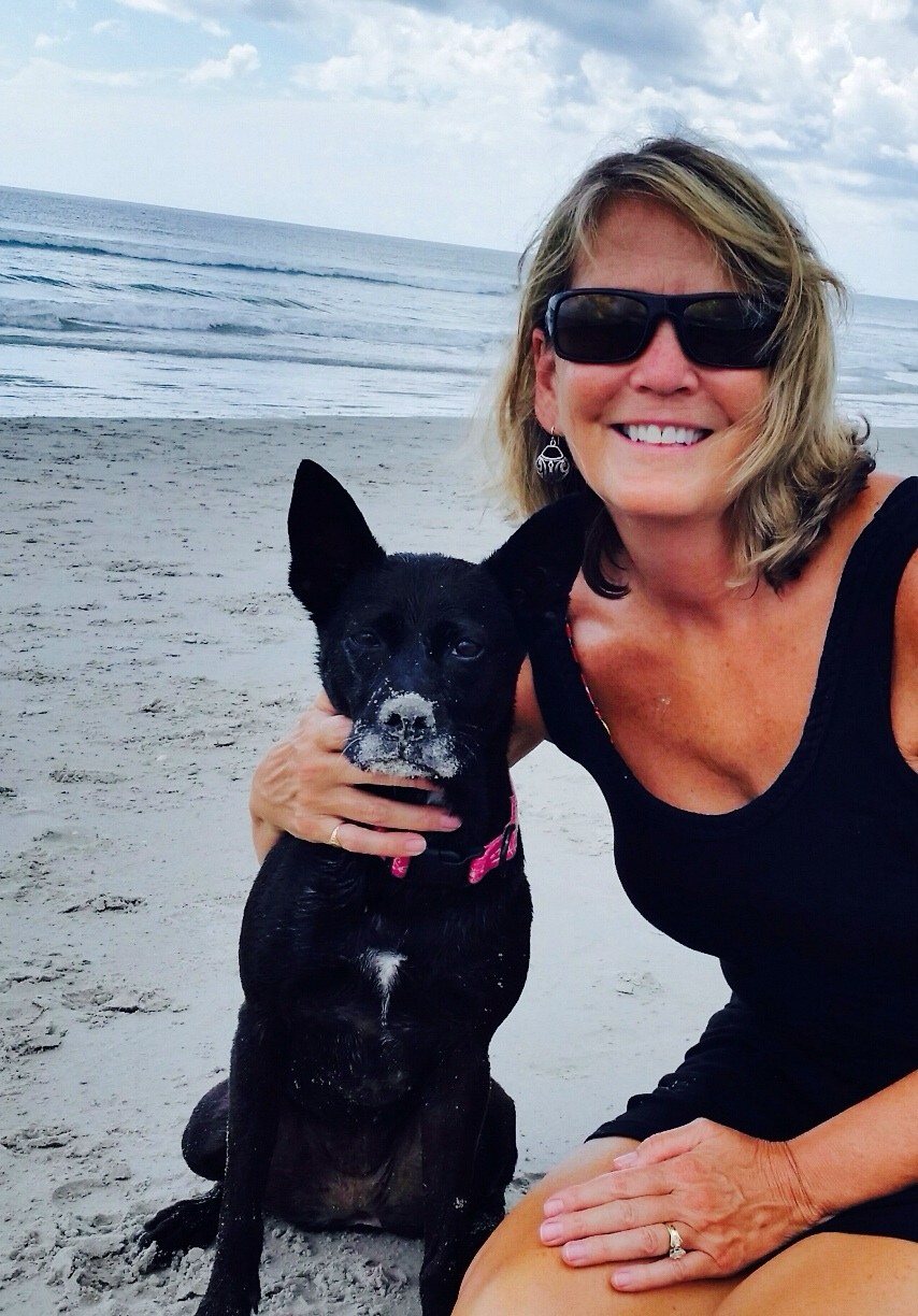 Paws In The Water, Nose In The Sand.