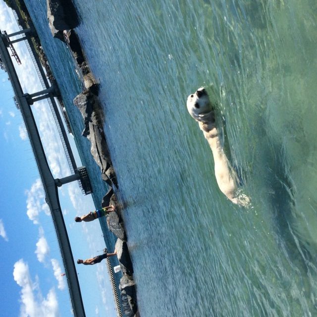 Sandee Sebastian Inlet Girl