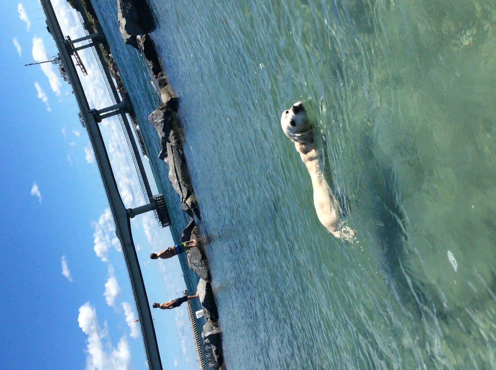 Sandee Sebastian Inlet Girl