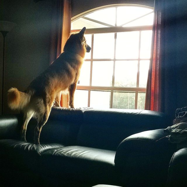 They'll Be Back Soon! #WhiskeyBear
