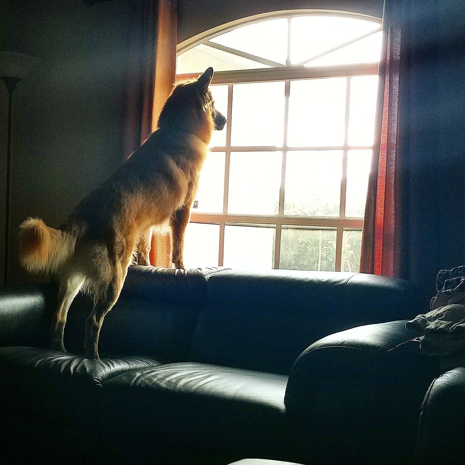 They'll Be Back Soon! #WhiskeyBear