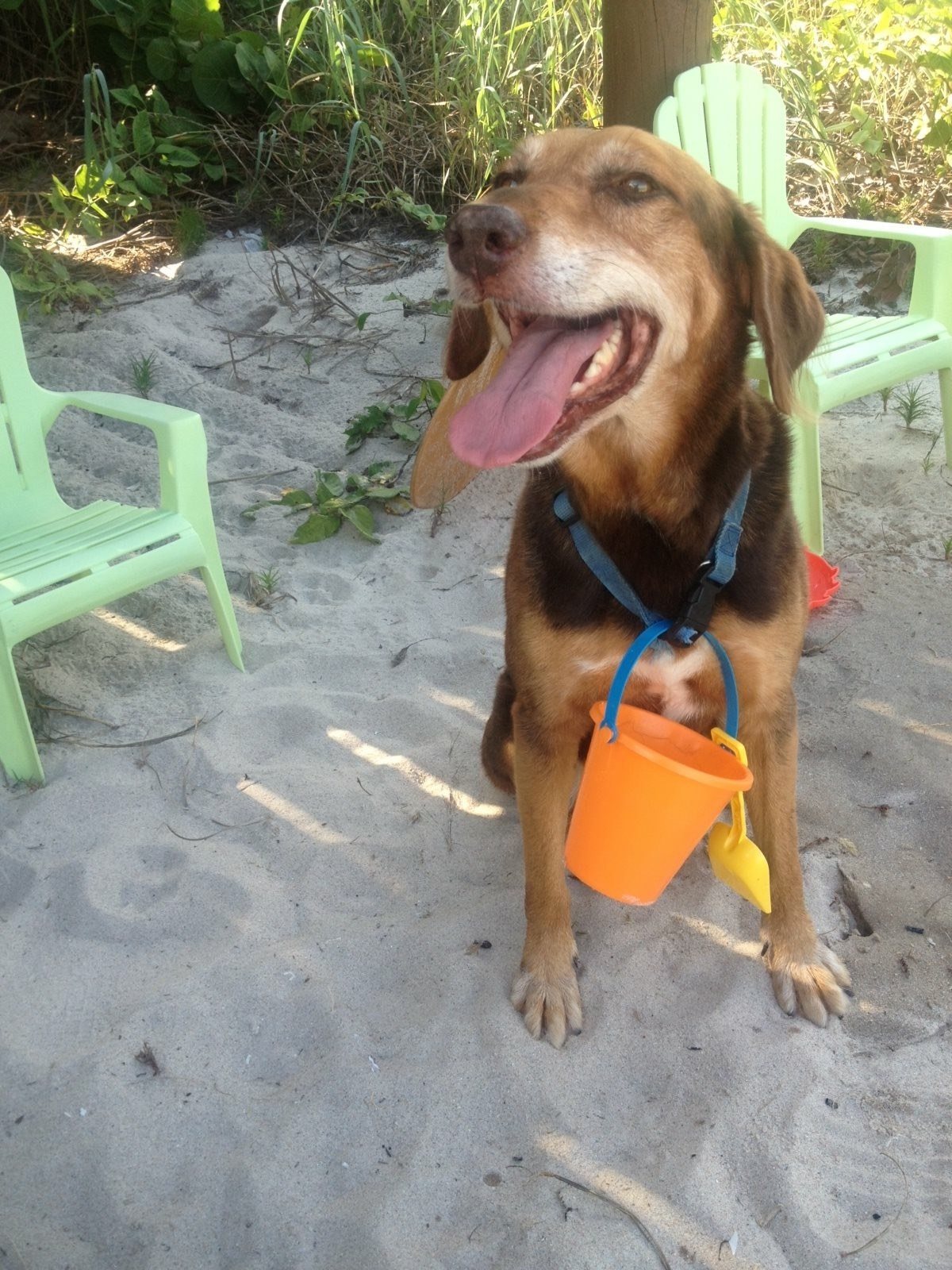 Time To Look For Shells