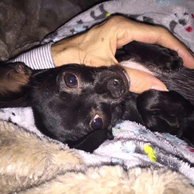 Sleepy Time With Momma