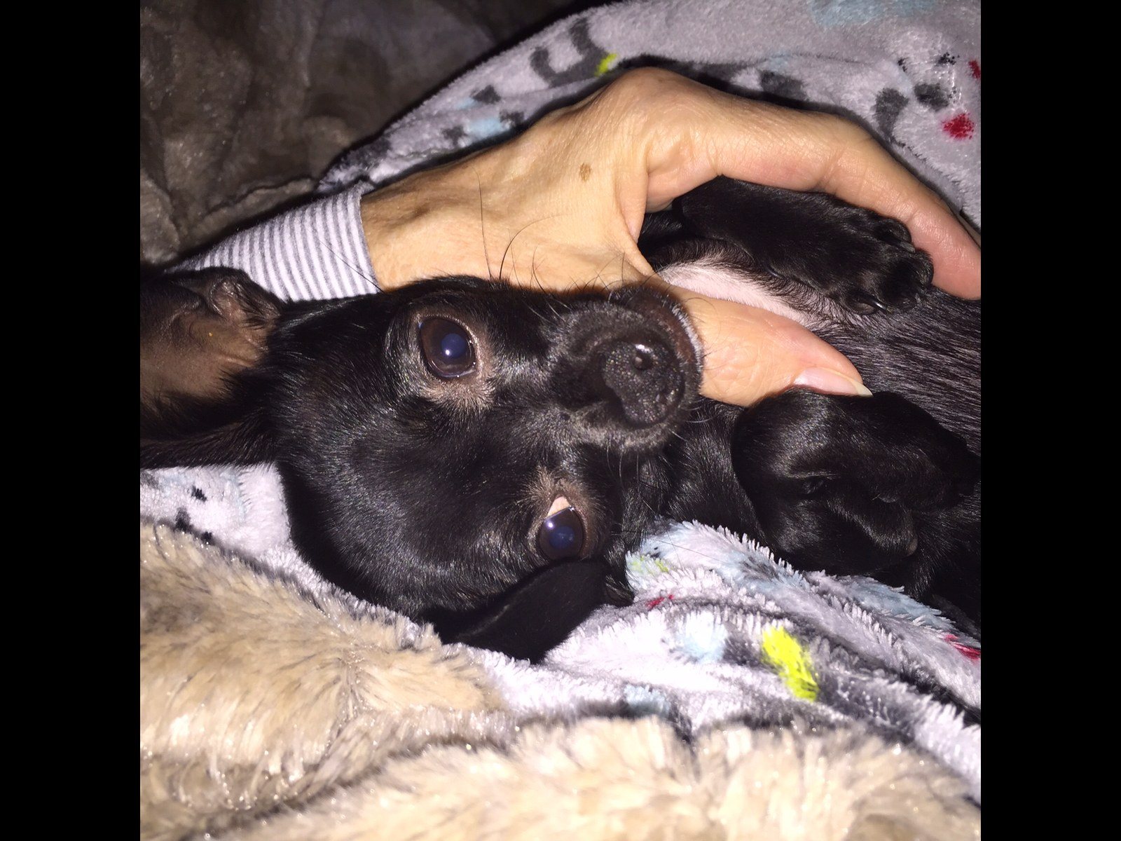 Sleepy Time With Momma