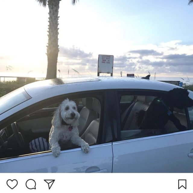 Daisy N Duke Do Sunrise