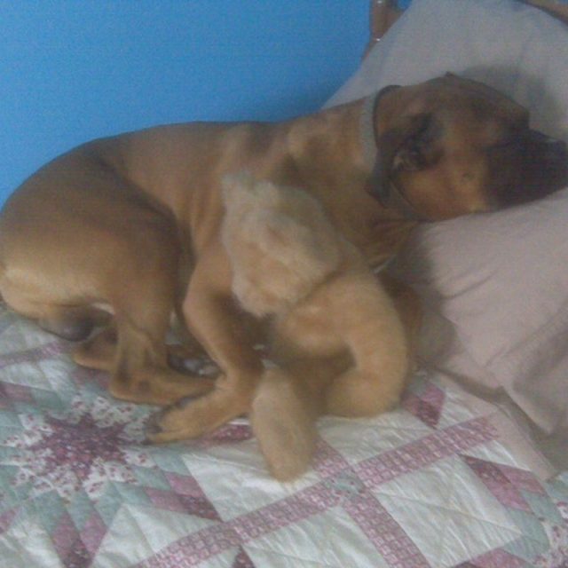 Nappy Time