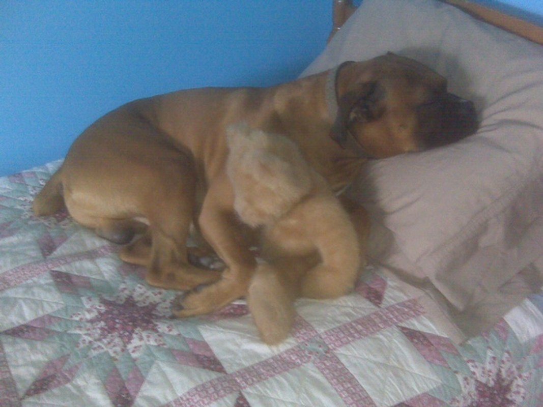 Nappy Time