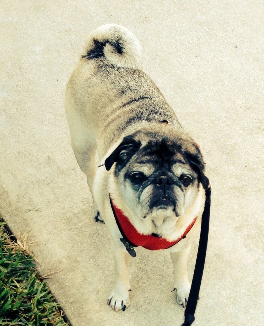 Ravi Towards The End Of His Life