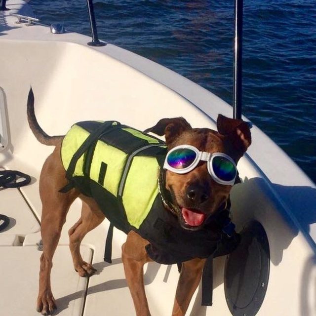 Lady Is Ready For A Day On The Boat!