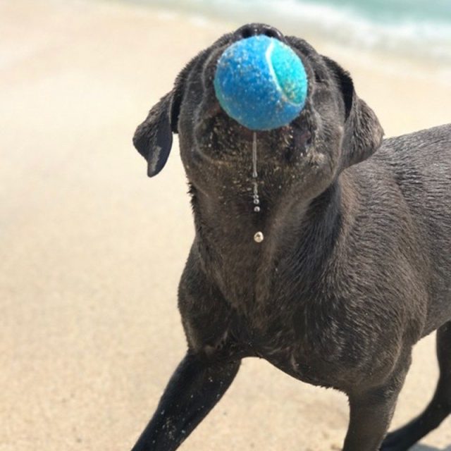 Play Time