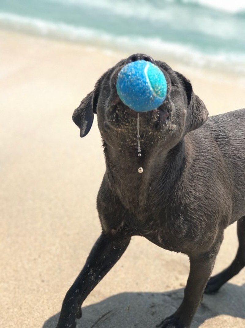 Play Time