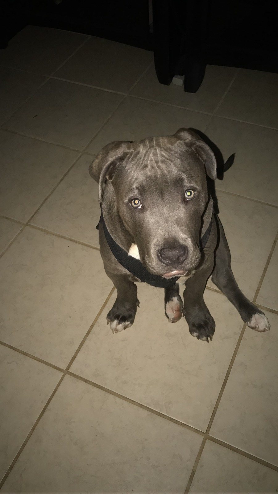 Tookie