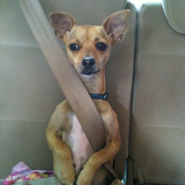 Safety First