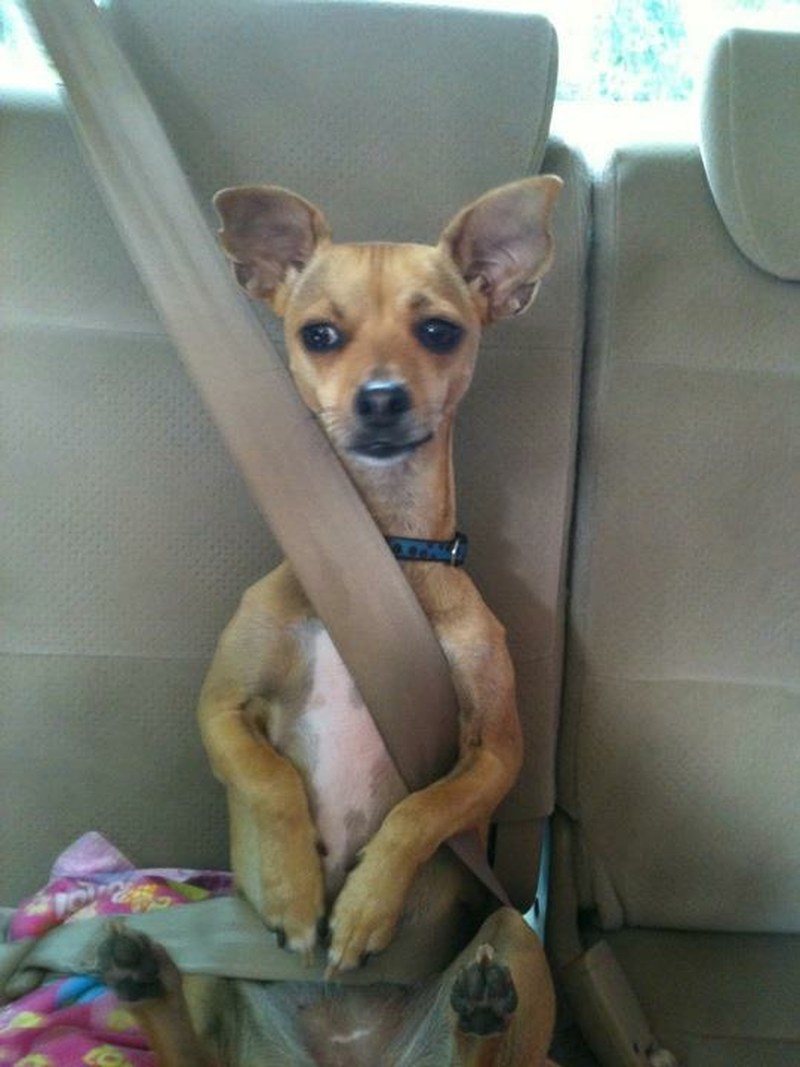 Safety First