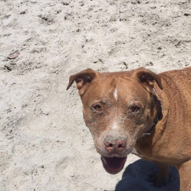 Beach Bum