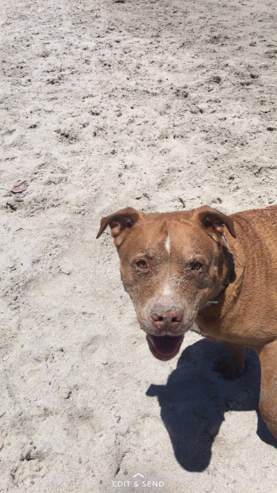 Beach Bum