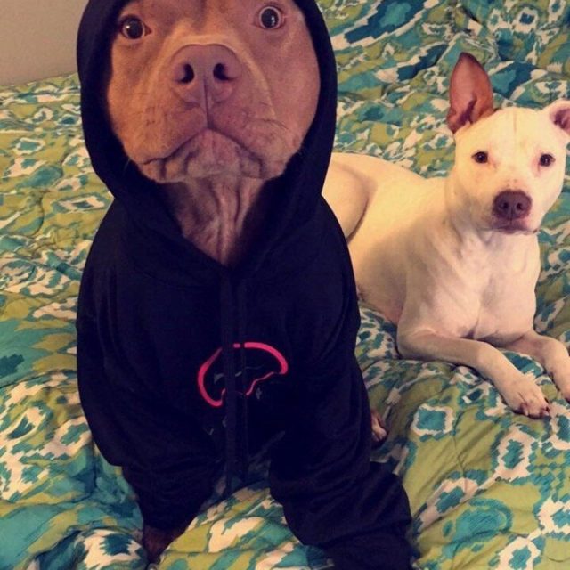 E.T.is That You?