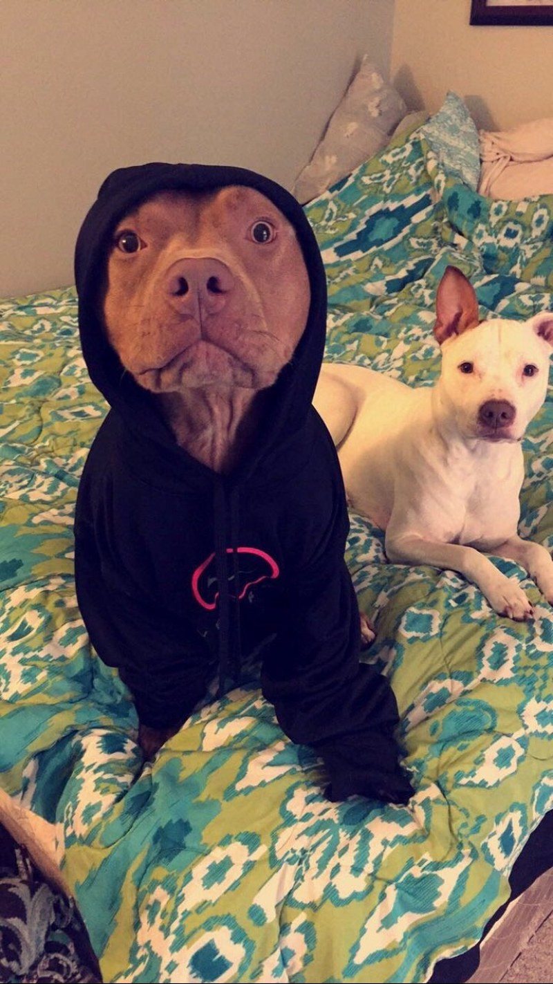 E.T.is That You?