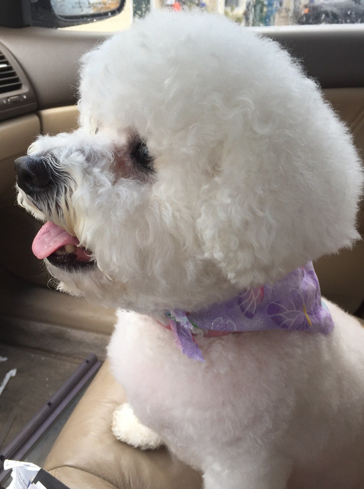 All Dressed Up & Ready To Go