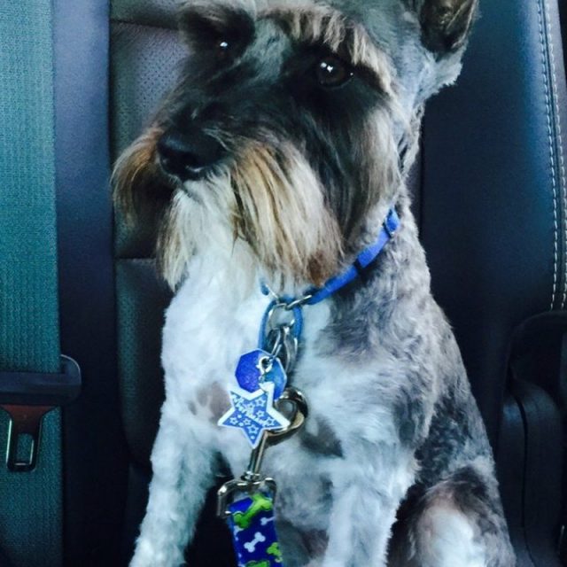 Not A Bentley... I'm ROYCE!