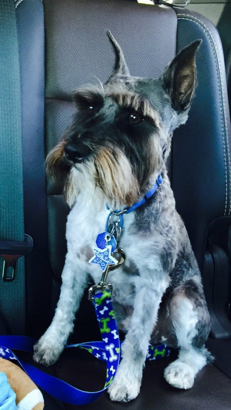 Not A Bentley... I'm ROYCE!