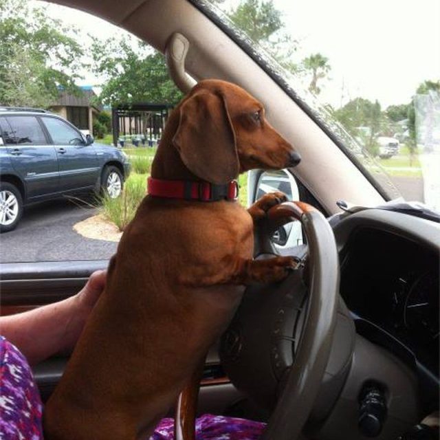 Joyce Lets Trudy Help Pick Up The Kids At School