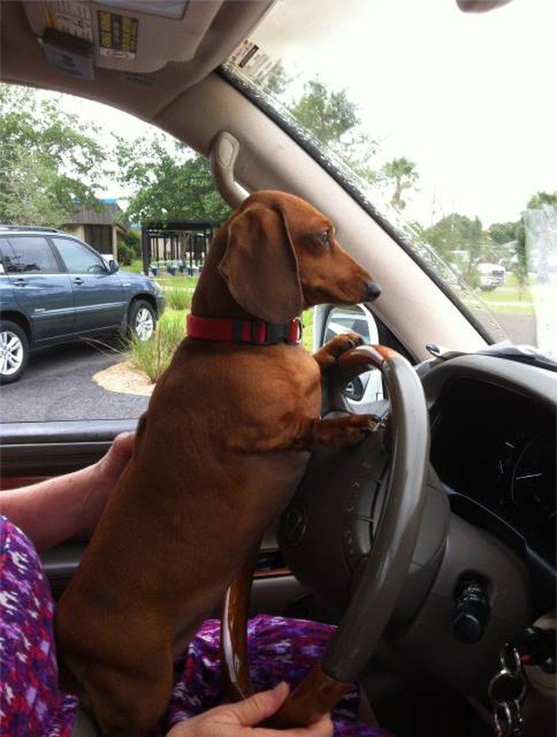 Joyce Lets Trudy Help Pick Up The Kids At School