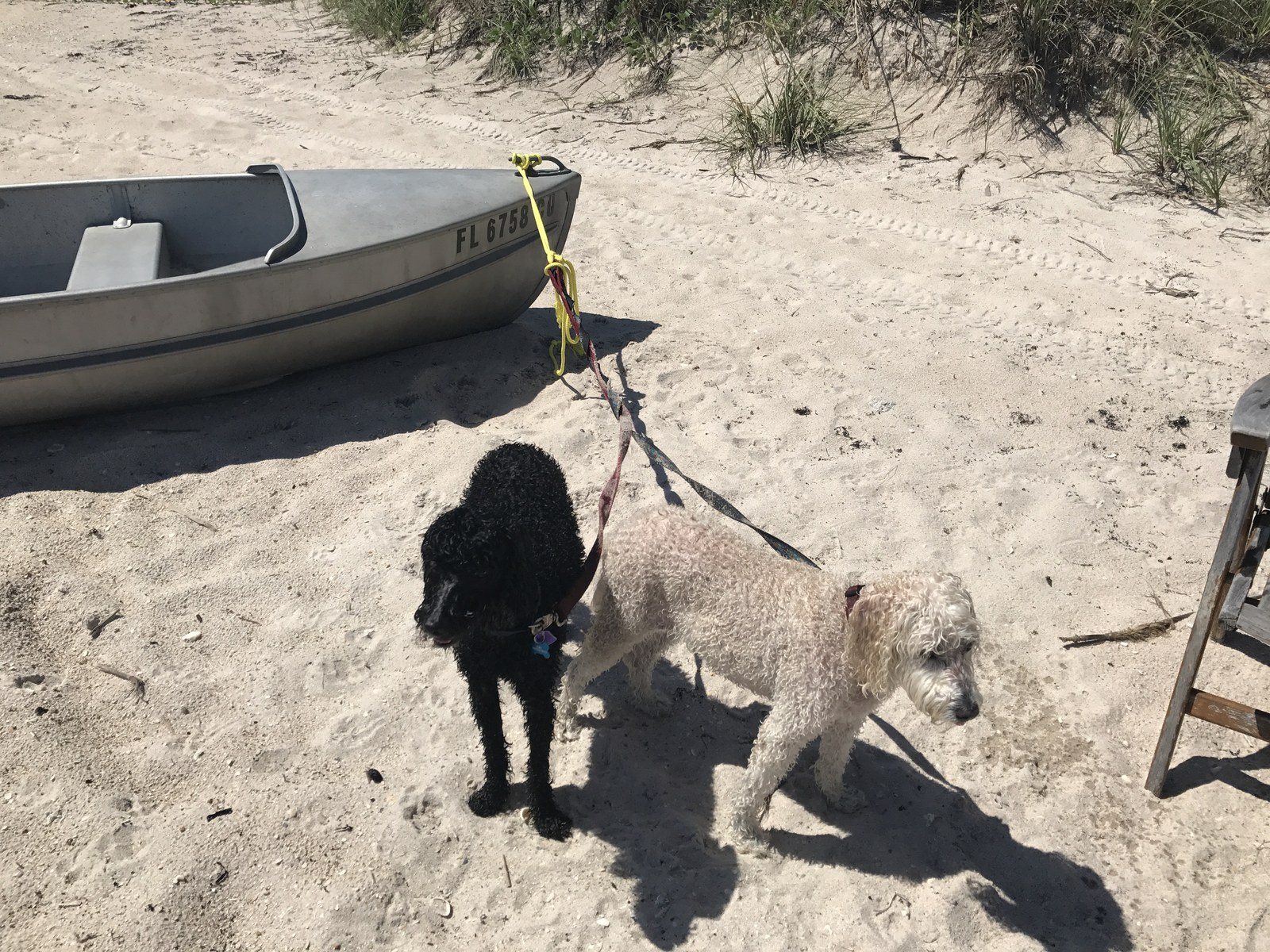 Pull, Pull, Pull That Boat!
