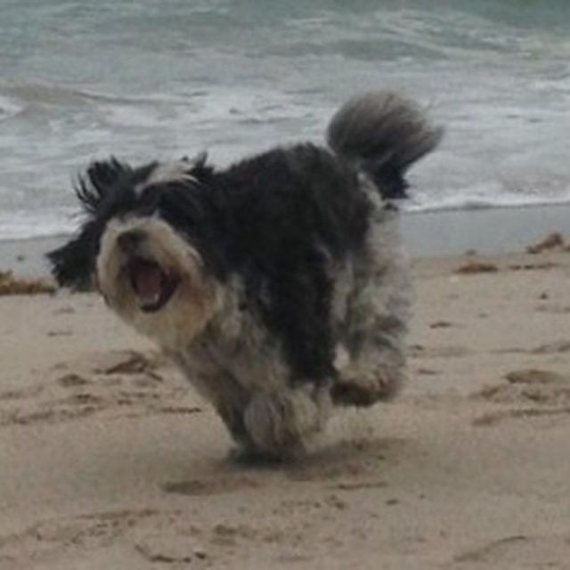 BeachBum